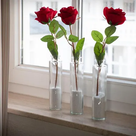 Apartment Sehnsucht Rügen Sellin (Rugen)