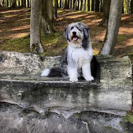 Sehnsucht Ruegen